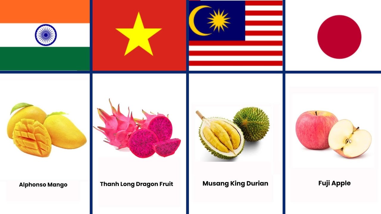 Fruits From Countries Around the World 🍍🌎