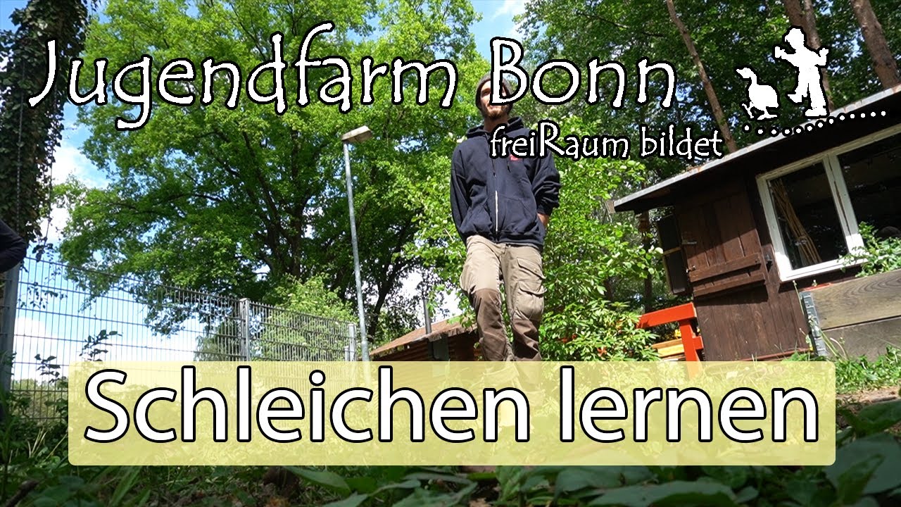 Schleichen lernen | 