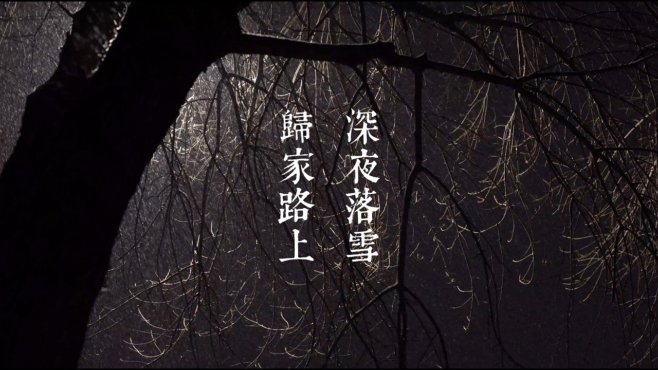 4K Snow In The Night - The Sound of Snowfall - Peaceful Atmosphere -Real Natural Scene - 2 Hours