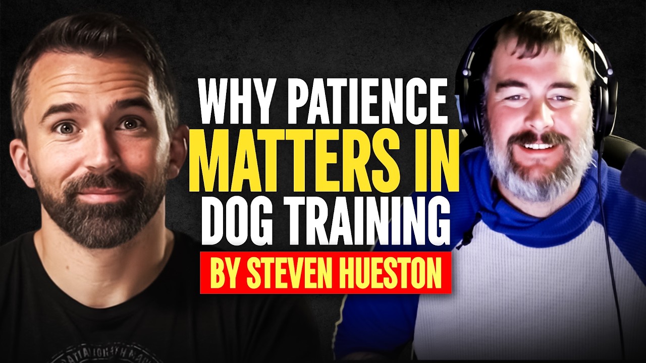 The Mindset That Turns Struggling Dogs Into Confident Companions