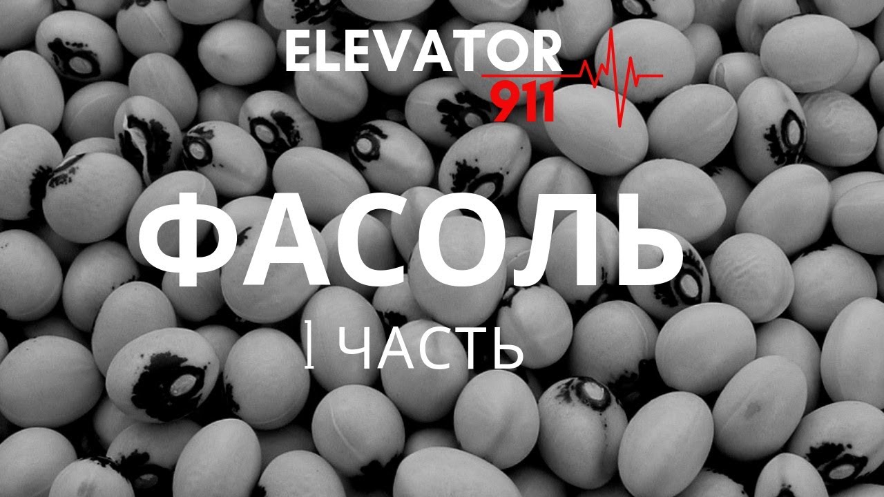 Фасоль. Квасоля. Сушка и очистка фасоли. Сушіння квасолі. Зберігання квасолі. Елеватор 911.