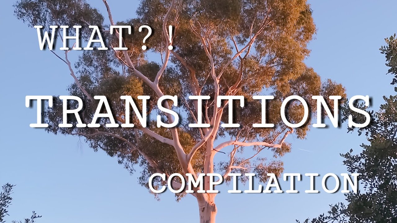&diams; The Best Transitions Musical.lys 2017 - New Musically Compilation