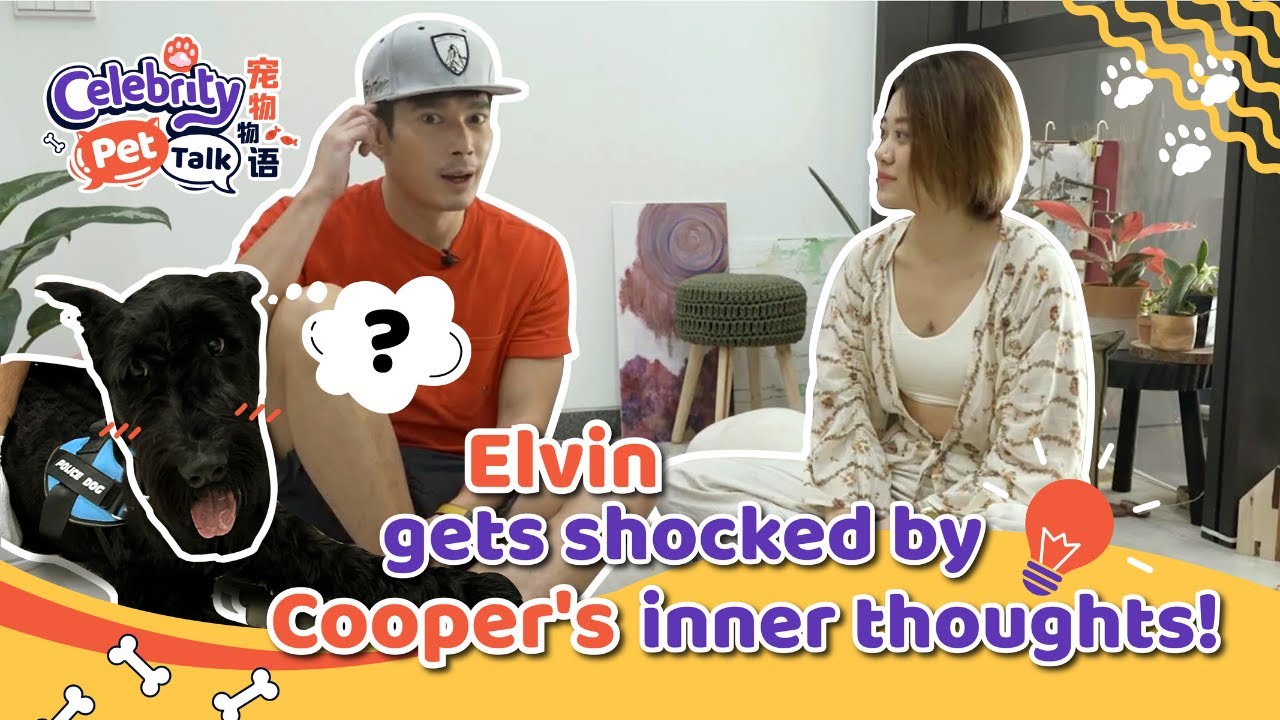 Celebrity Pet Talk EP1 - Elvin Ng gets shocked by Cooper's inner thoughts
