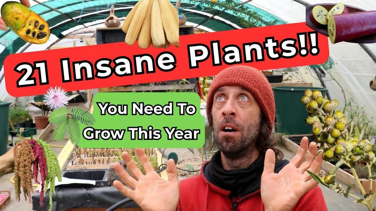 21 Amazing Plants I’m Planting This Year!
