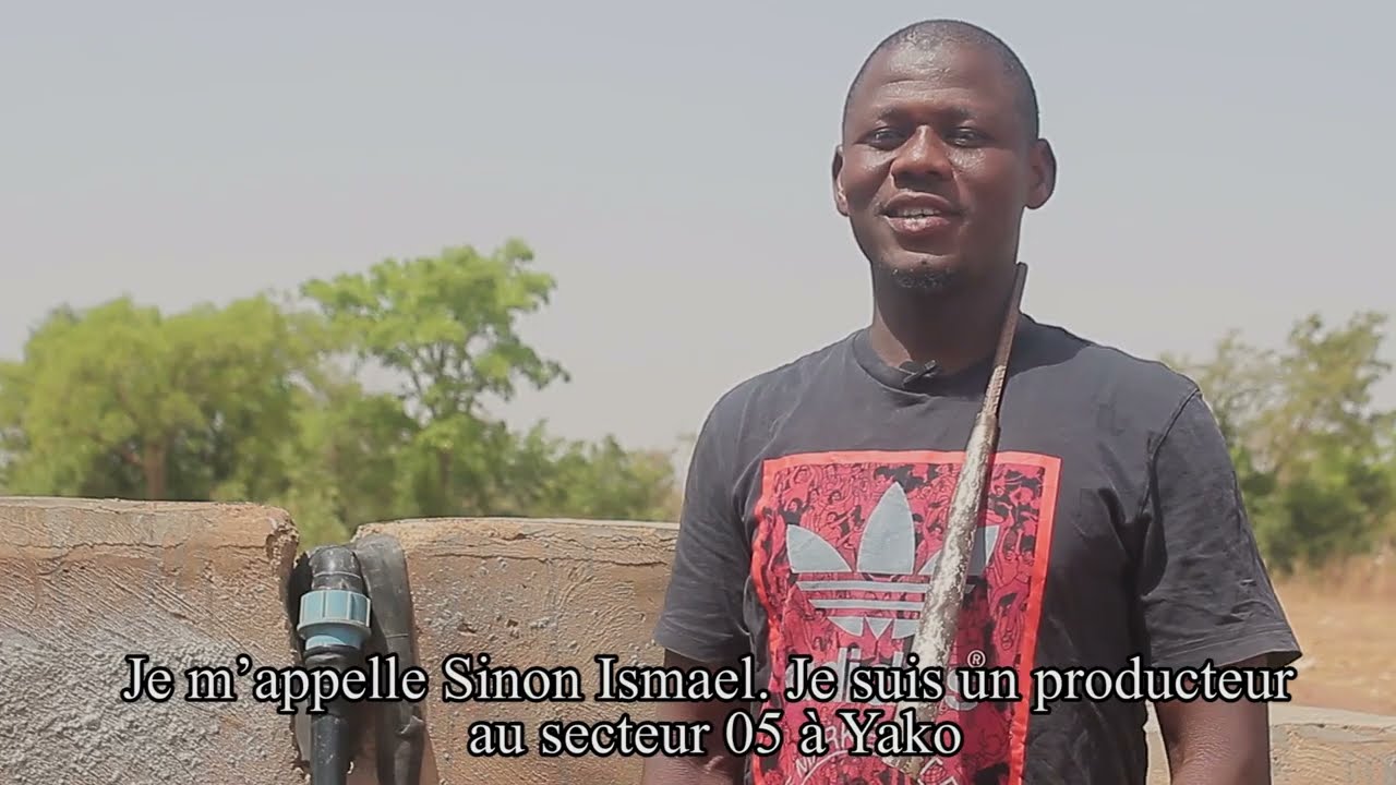 Sinon et le projet citron