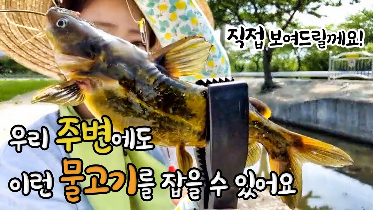 뜰채각 뜰채!!!!인생 붕어 잡아볼께요  fishing aing2 [여자 낚시꾼 아잉2]