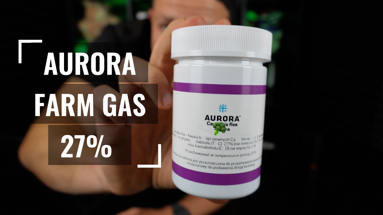 Aurora Farm Gas 27% - Recenzja. Od cytrus&oacute;w po... koci mocz. Czy jest warta 600 zł?