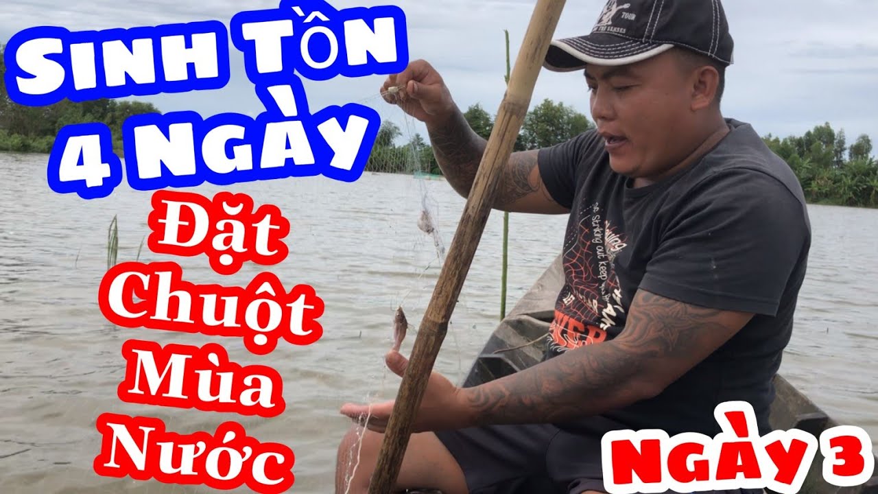 TXTV - Thánh Xàm Đi Gài Bẫy Chuột Mùa Nước Không Ngờ Trúng Đậm - Sinh Tồn 4 Ngày (Ngày 3)