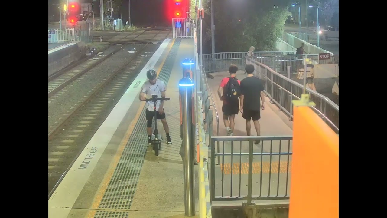 Brave Passenger Casually Wrangles Snake at Sydney Train Station