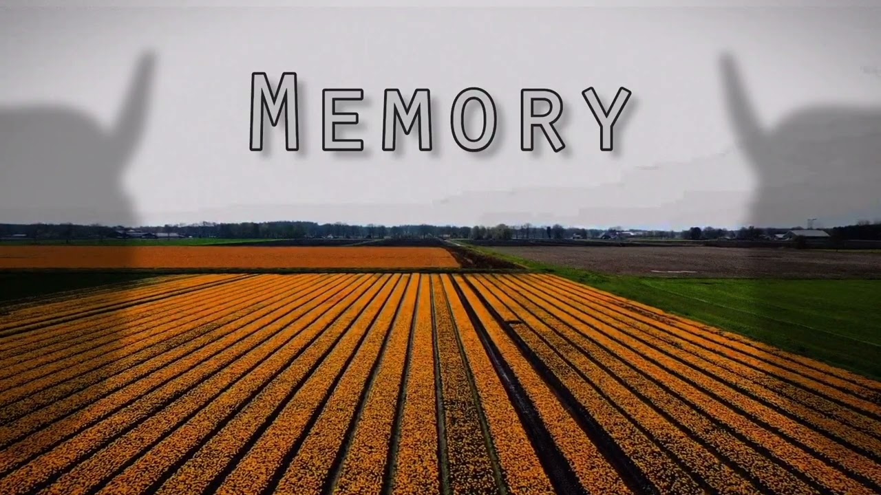 Clxwtorr - Memory