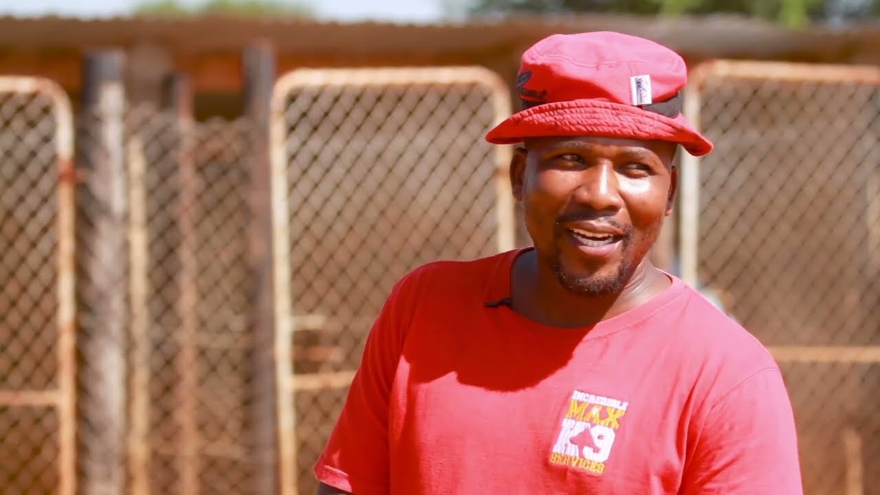 Dog Farming Business | How to start Dog Breeding Business in Botswana (Episode 4)