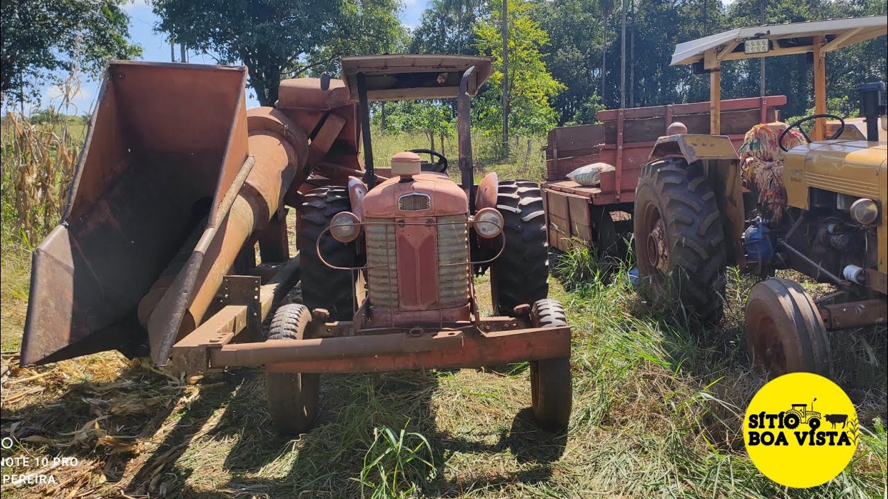 COLHEITADEIRA FOGUETINHO PRA TRATOR. CINQUENTINHA TERMINANDO DE  COLHER NOSSO MILHO. SÍTIO BOA VISTA