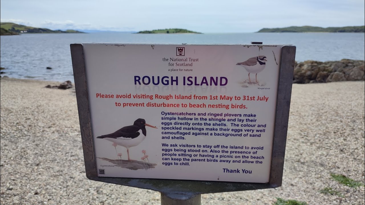 Wee drone trip to Rough Island Kippford SW Scotland