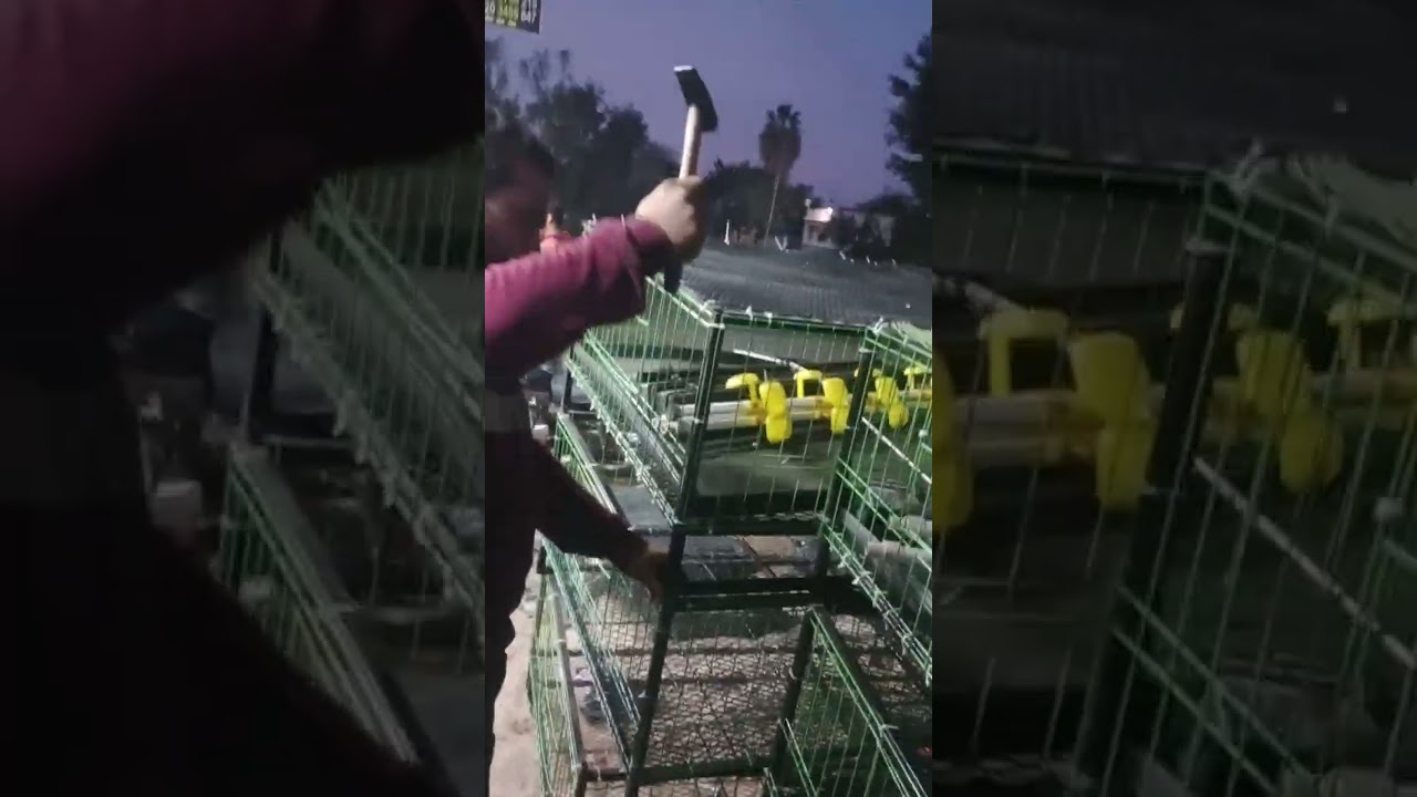 بطاريات دواجن المالكي من تصنيع وتصميم وتنفيذ شركة المالكي لمستلزمات المزارع