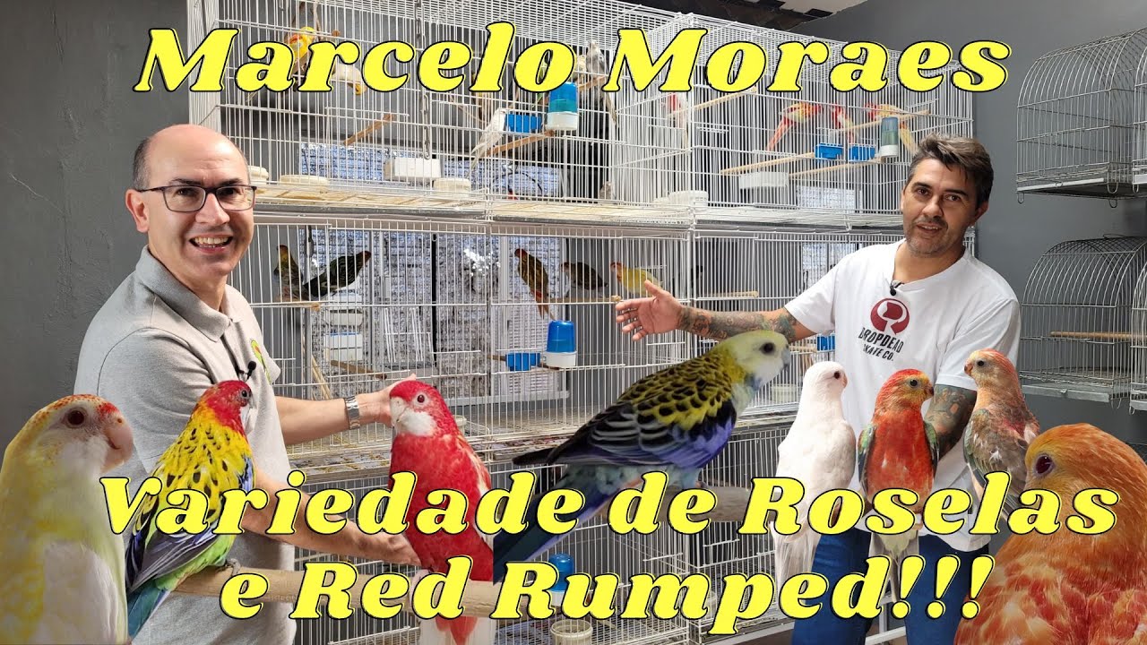 MARCELO MORAES JÁ COMEÇANDO FORTE EM ROSELAS!!!