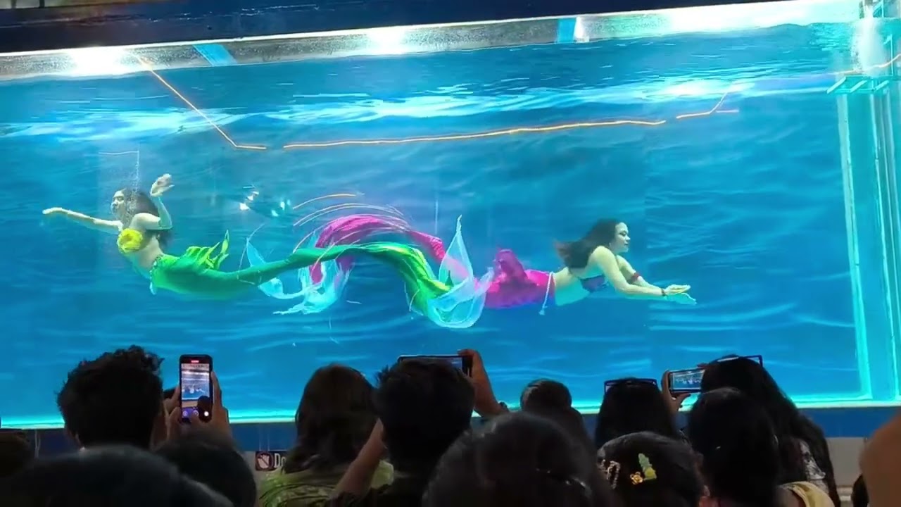 Dwarka Water park jalpari show 🥰💫