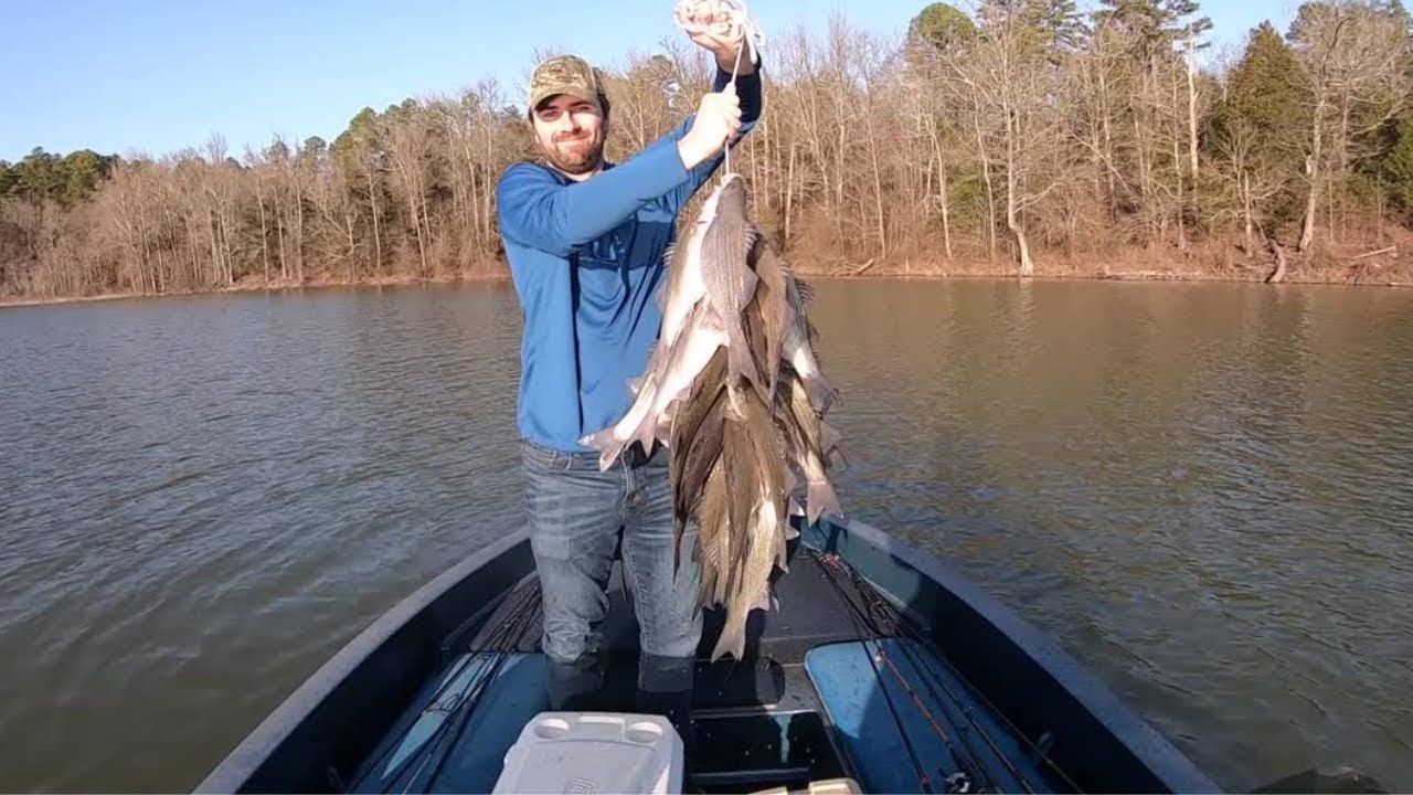 THIS BANK WAS LOADED WITH WHITE BASS! WHITE BASS FISHING! 
