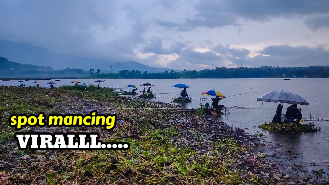 PEMANCINGNYA PENUHH‼️SEMUA PANEN IKANYA GAK HABIS2 DI SINI || mancing ngantang