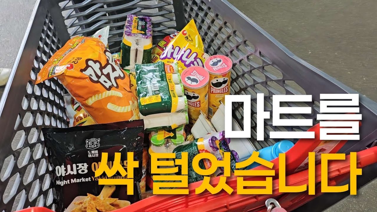 필요한건 하나였는데 또 폭주했네요 | 전업주부 집밥 살림 브이로그