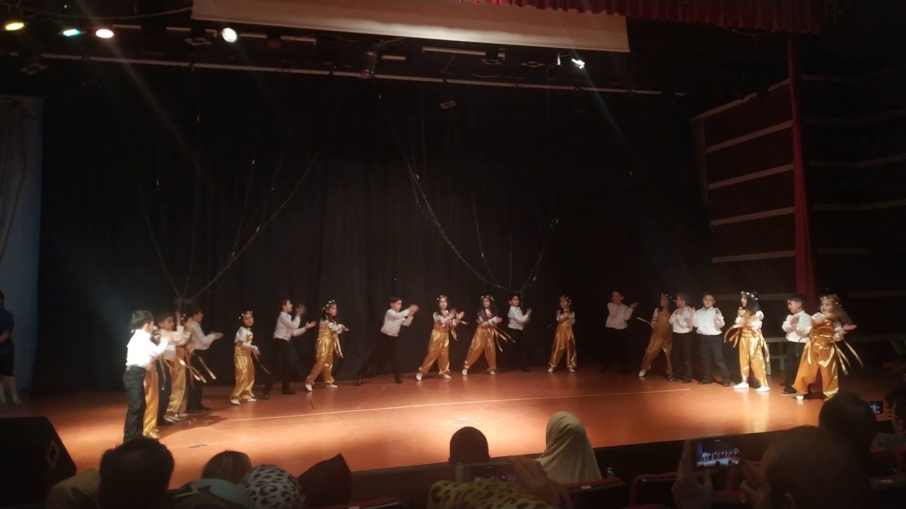 Ana Dil Şarkısı - M. Akif ilkokulu Yıl Sonu Gösterisi