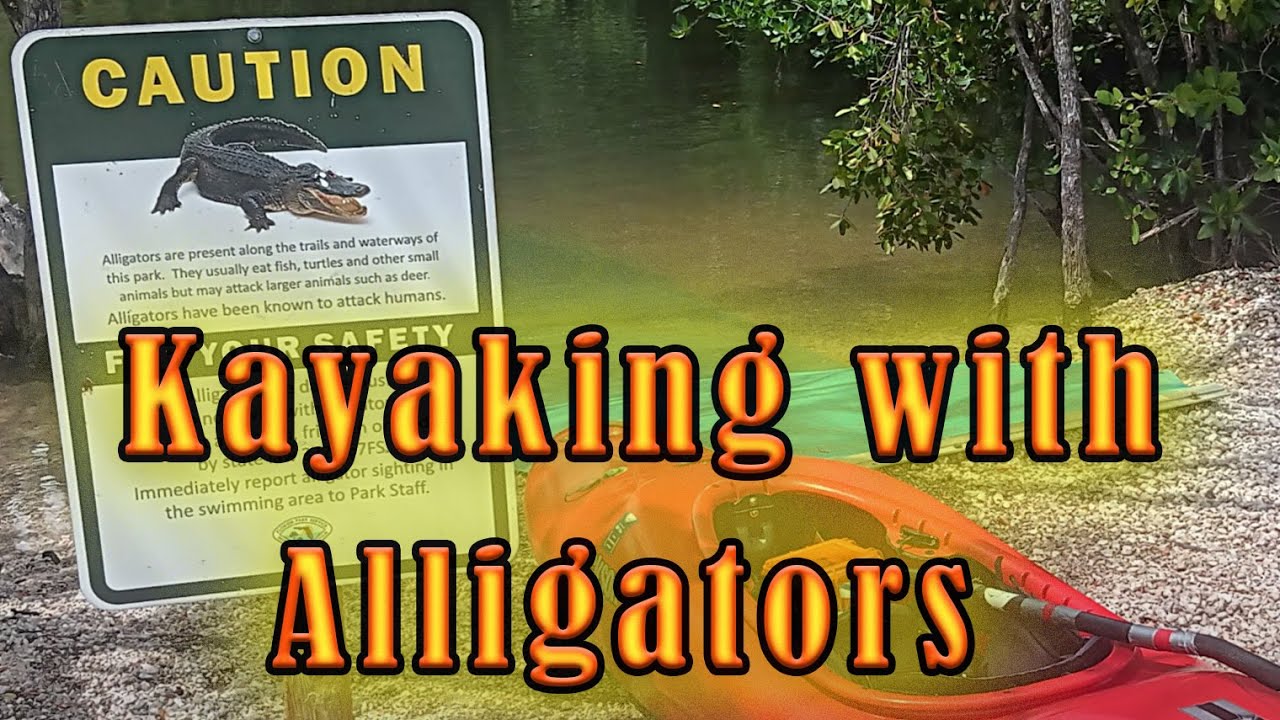 Kayaking with Alligators? Oleta State Park and Raccoon Island