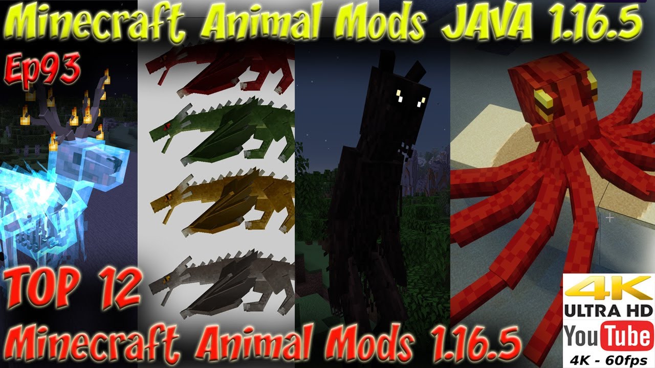 Top 12 Minecraft Mods 1.16.5 Animal Mods Showcase 4k 60fps Minecraft JAVA 1.16.5 Animals Ep93