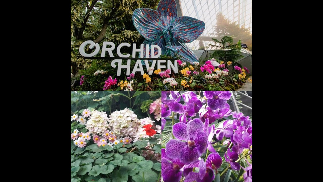 Inside The Flower Dome | Gardens by the Bay-Singapore - Pavi & Nish