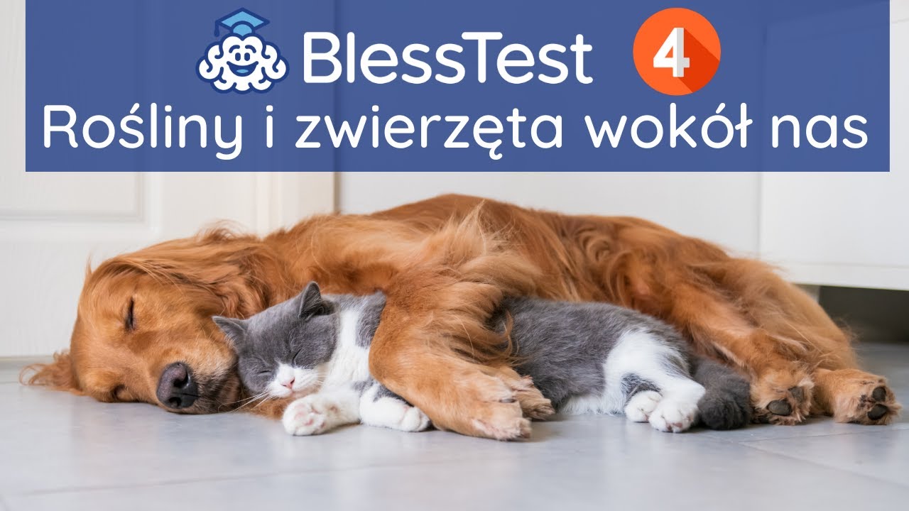 Rośliny i zwierzęta wokół nas