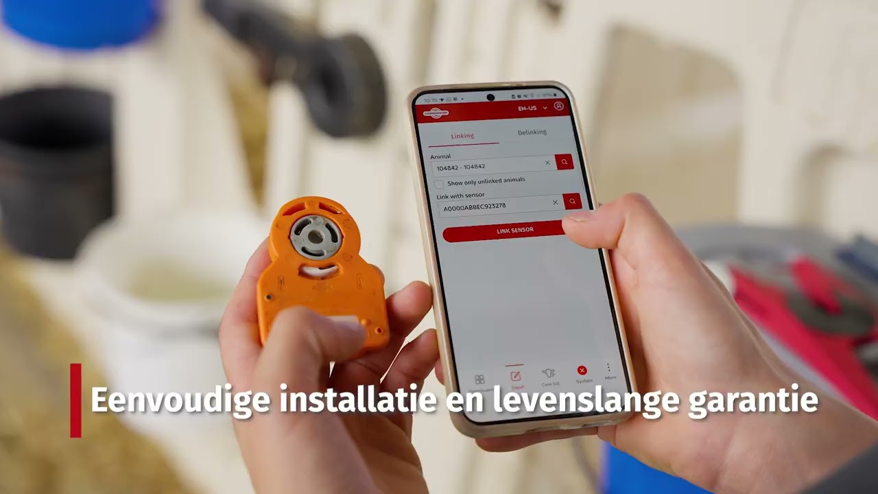 CowManager Jongvee Monitor | Van kalf tot koe | Kalveren gedragsgrafiek
