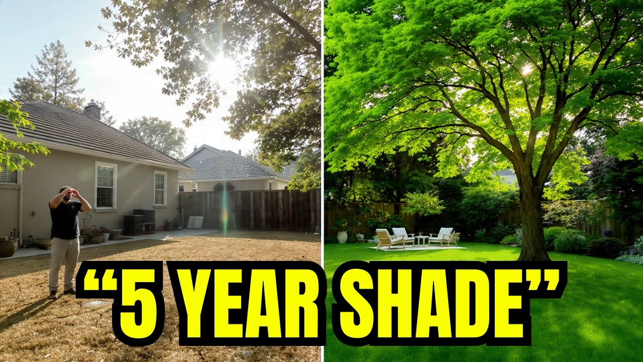 😍The 10 Best Fast Growing Trees for Your Backyard 🍃 | Shade, Privacy & Landscaping Guide