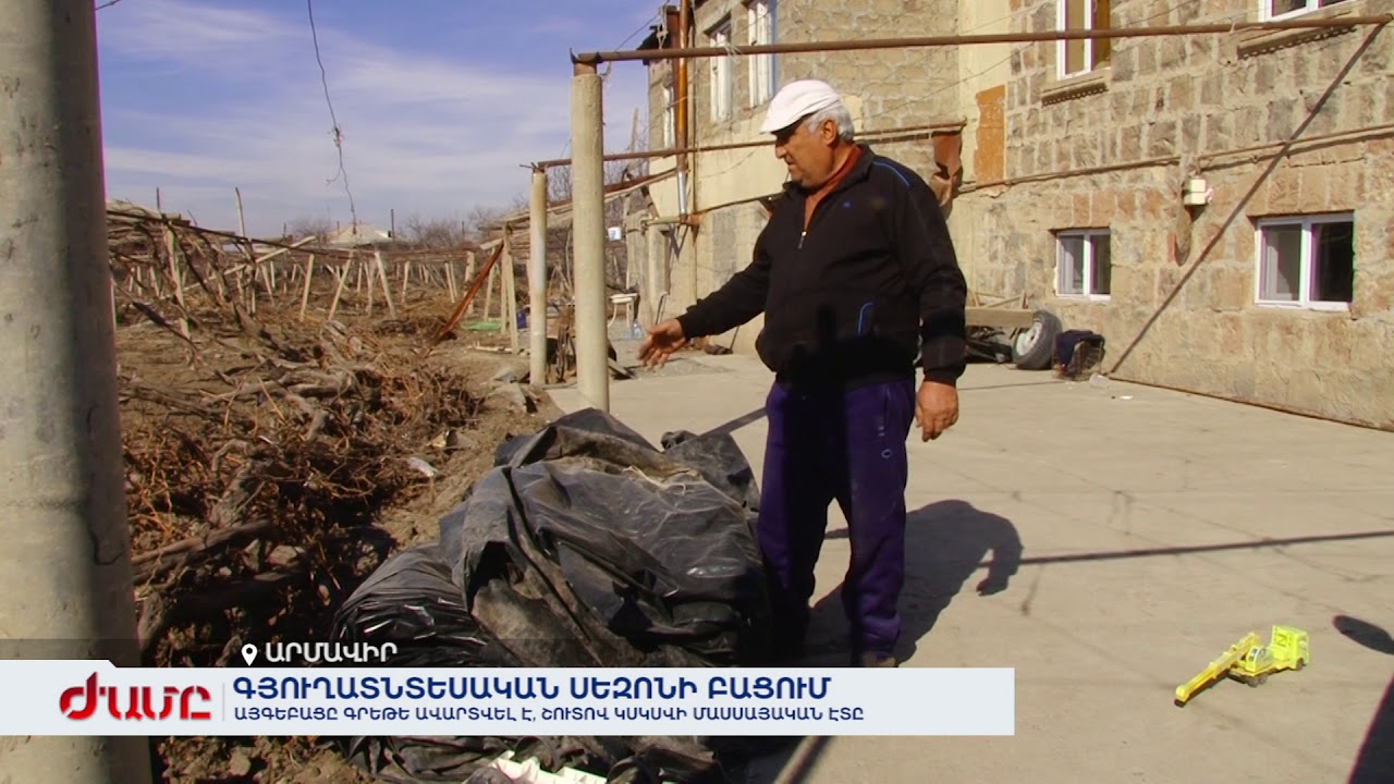 Այգեբացը գրեթե ավարտվել է, շուտով կսկսվի մասսայական էտը
