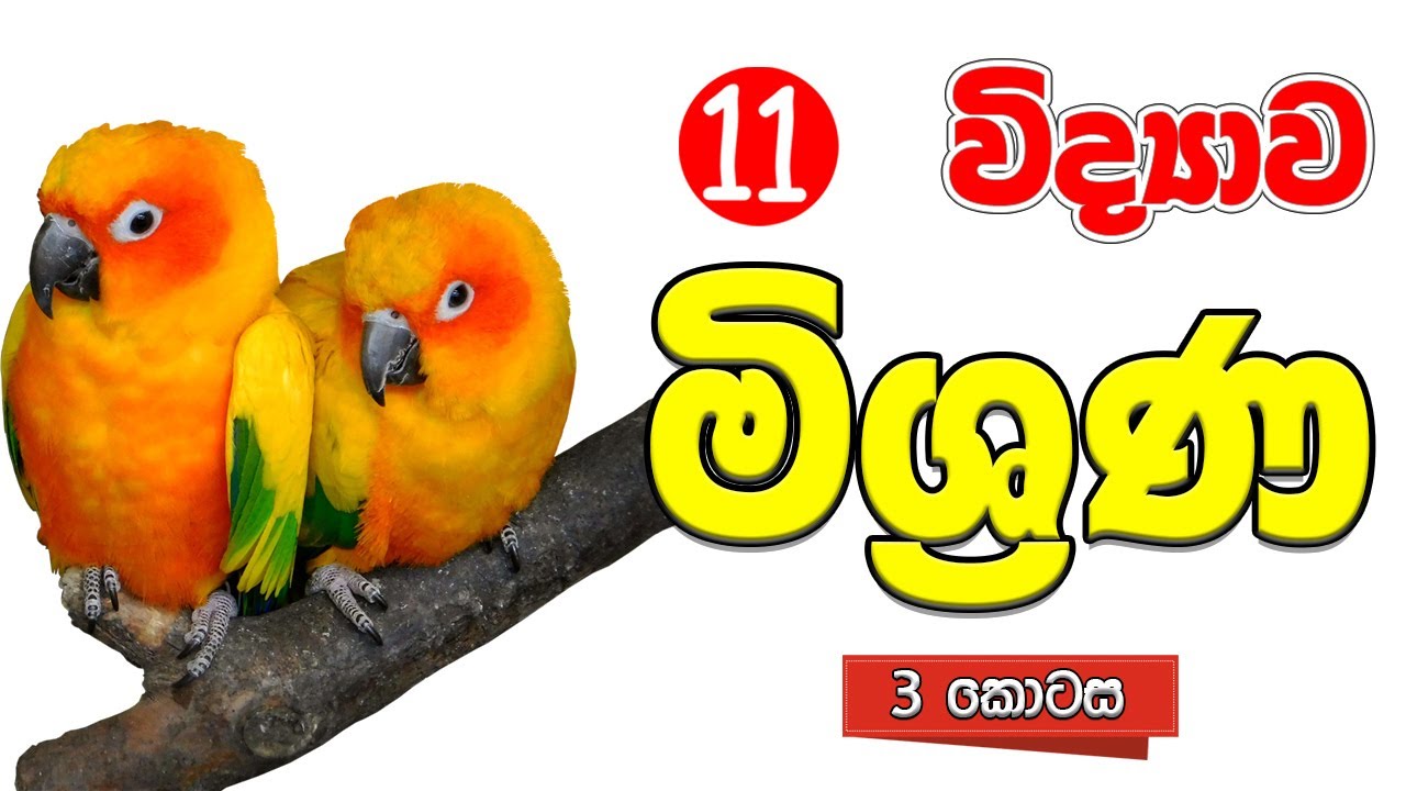 OL Science | Sinhala |Grade 11 Science| Unit 03  | 11 වසර විද්‍යාව | 03 පාඩම  මිශ්‍රණ  3 | mixtures