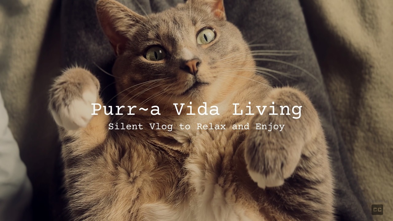 Silent Vlog to Relax and Enjoy | Slow Living Costa Rica