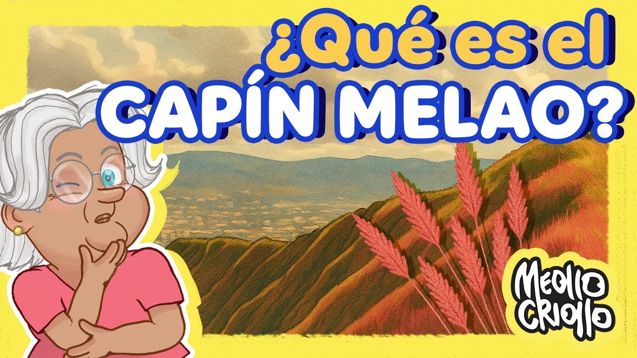 ¿POR QUÉ el ÁVILA cambia de COLOR? 🎨 Meollo Criollo