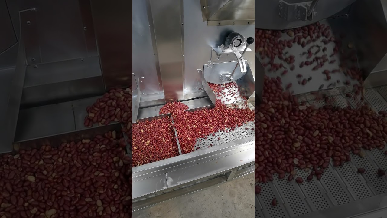 Peanut roasting machine #peanut #peanuts #peanutbutter