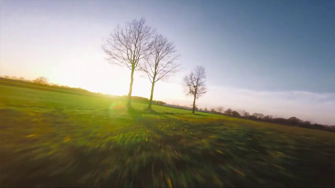 Freestyle Wiese FPV