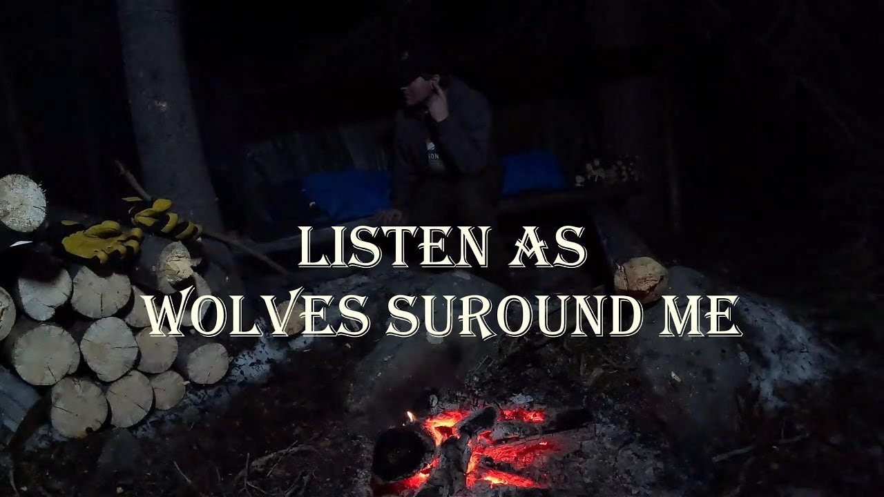Overnight Bushcraft Camp:  Raised Bed Tarp Shelter, Freezing Night, Warm Fire & Wolfpack Encounter