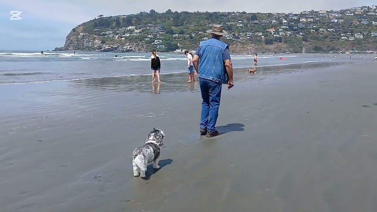 Foggy afternoon at the Beach