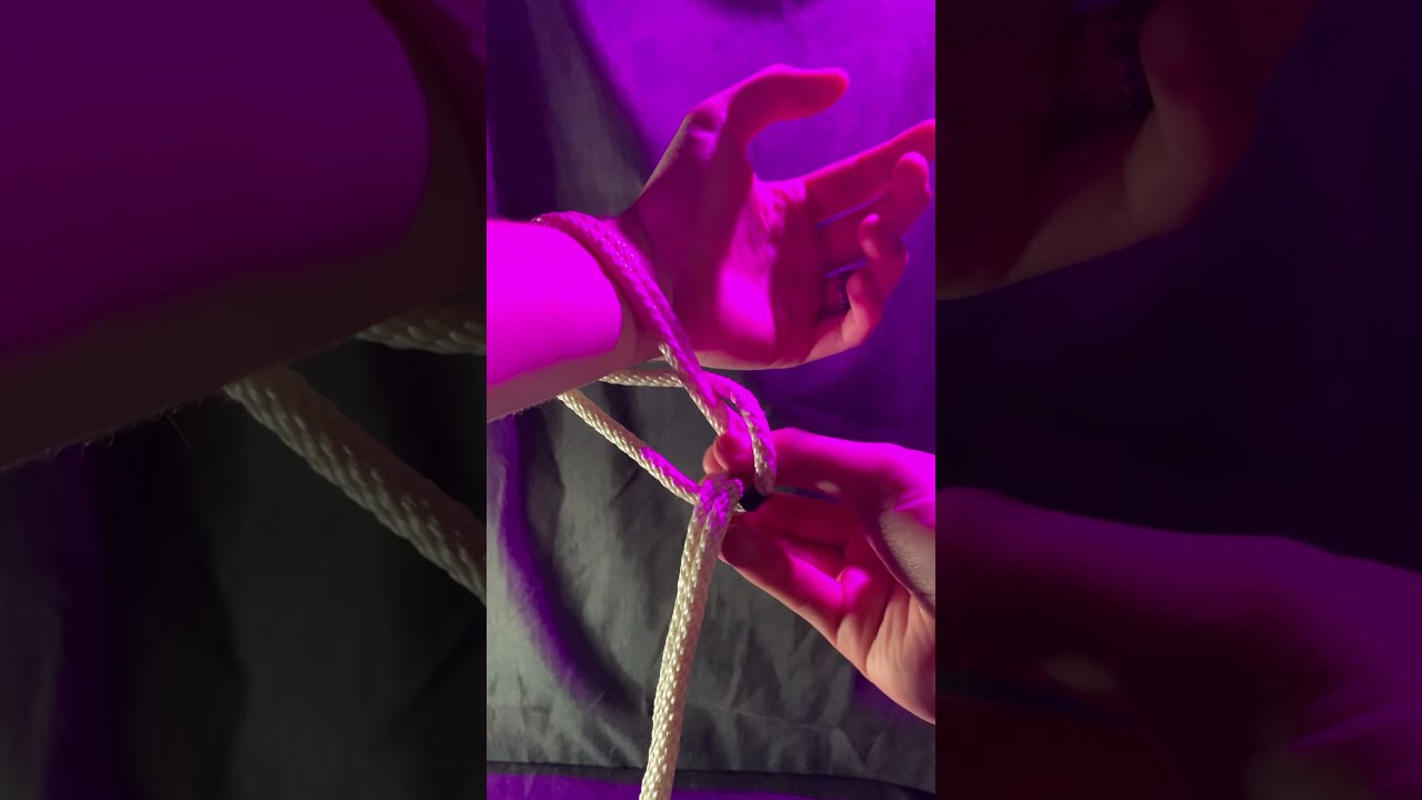 Leash and collar TIKTOK