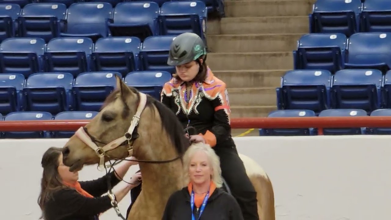 2026 PJ's first horseback riding show experience part 2: equitation.
