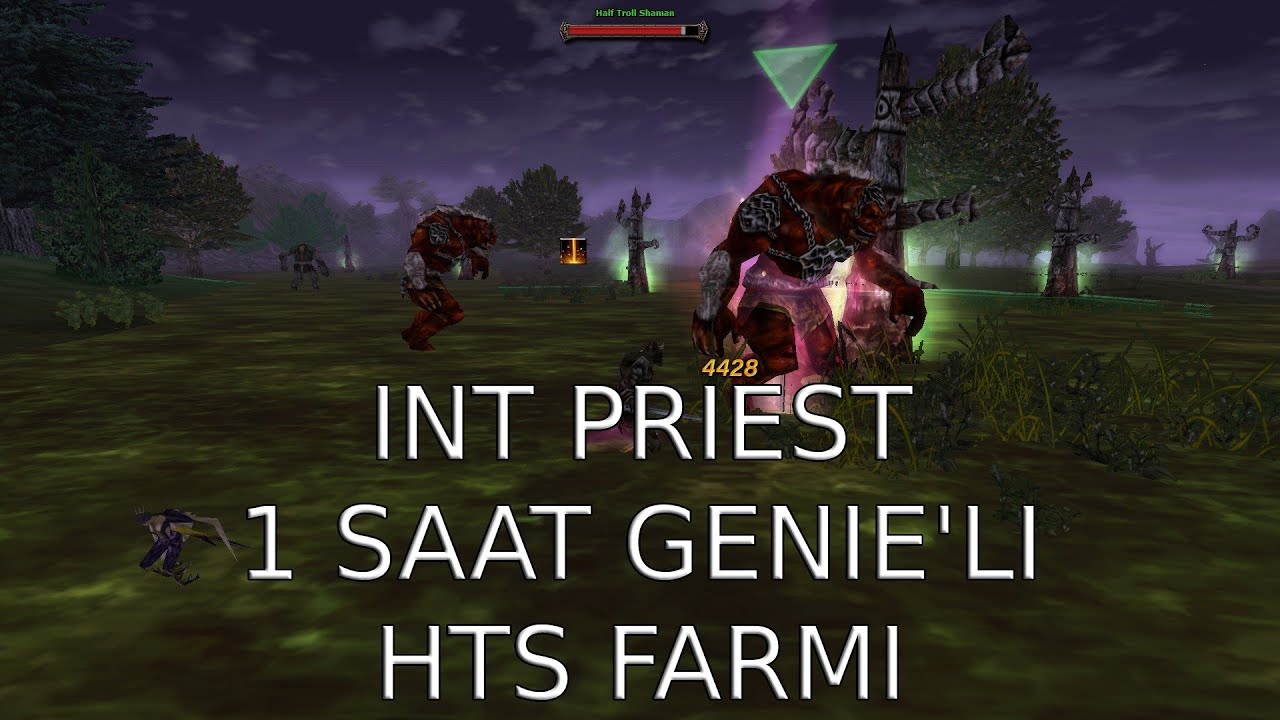 Int Priest ile Bir Saat Genie'li Half Troll Shaman Farmı - Knight Online