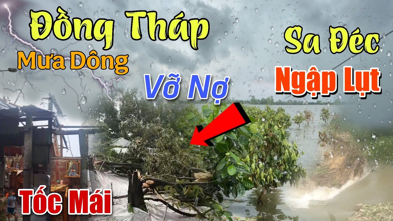 Đồng Tháp Mưa Dông Lốc Thanh Mỹ Tháp Mười Cao Lãnh Ngập Lụt Mít Sầu Chết Héo Chợ Sa Đéc Mưa Hắt Hiu