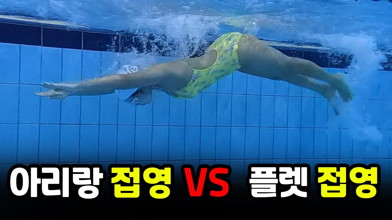 회원들이 힘들수록 수영 강사가 희열을 느끼는 이유 l 접영 l 음-파는 수영에 없다고! ㅣ술영라이브 #141