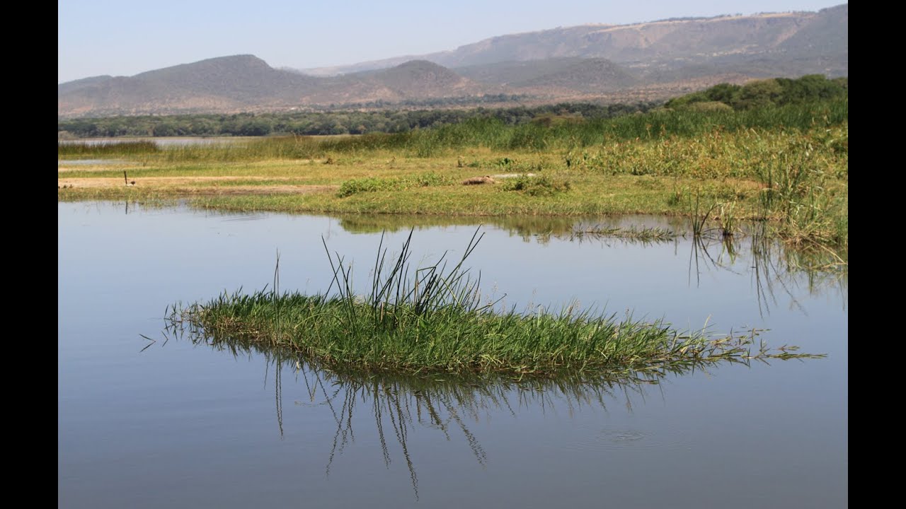Birding Ethiopia (4/6): Lake Langano & Abijatta-Shalla National Park