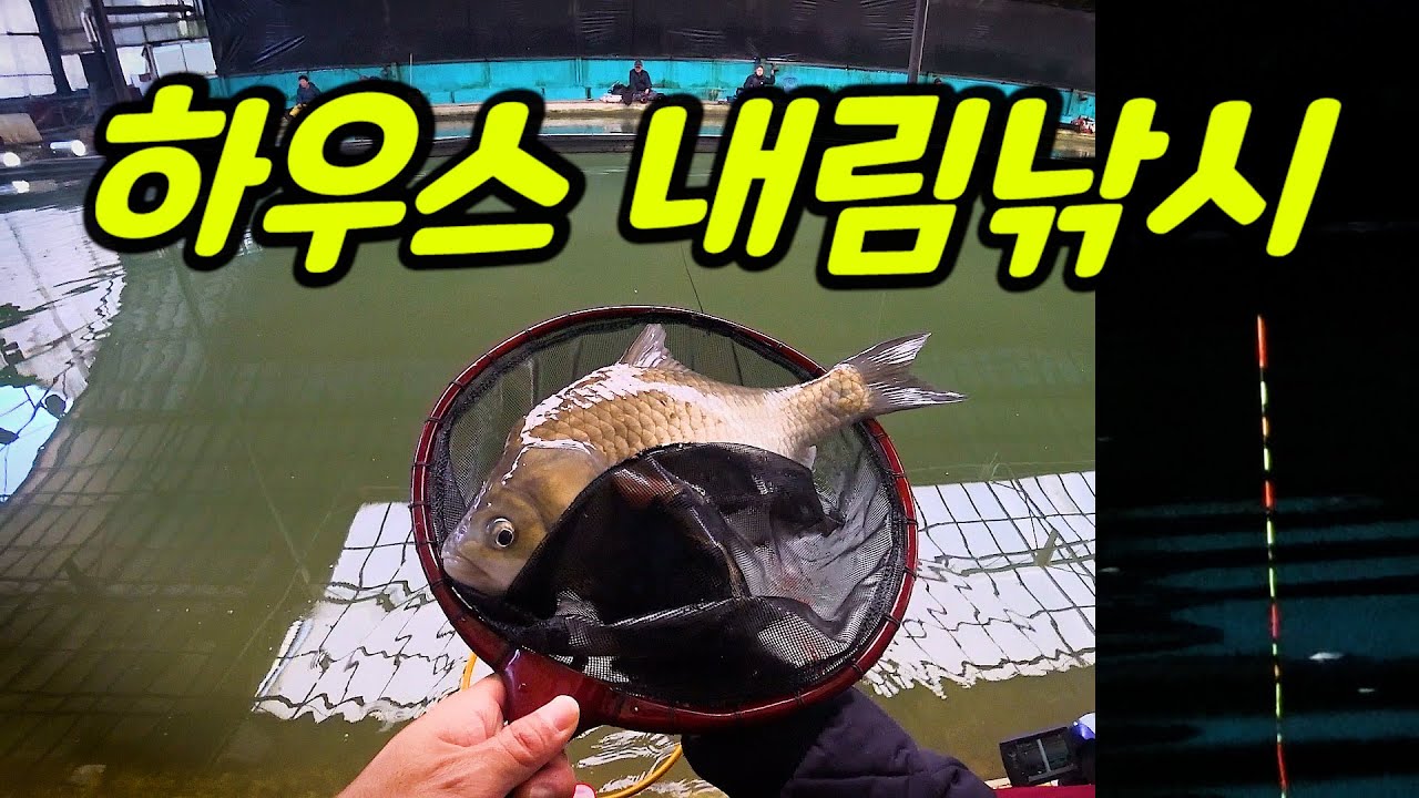 Indoor Fishing