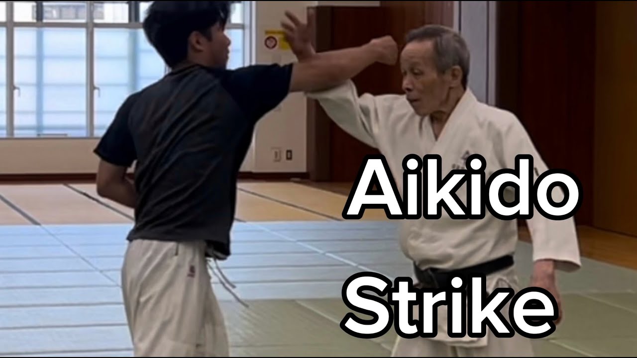Two Aikido technique for against strike.