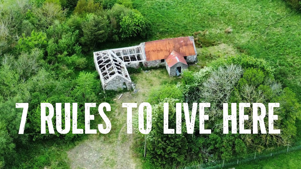7 Tips For A Simple Off Grid Life | DEBT FREE in Scotland