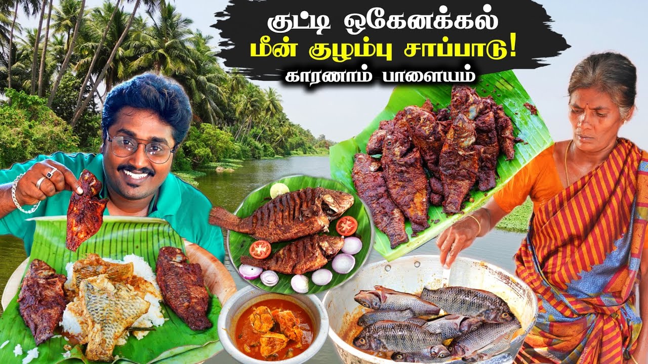 🔴Kutty Hogenakkal FISH Kulambu Cooking | உயிர் மீன் குழம்பு வறுவல் | Fish Curry | KaranamPalayam Dam