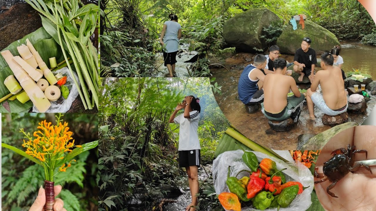 Best picnic place in pillangkata river,near Guwahati #picnicwithfriends#adventure #natural#