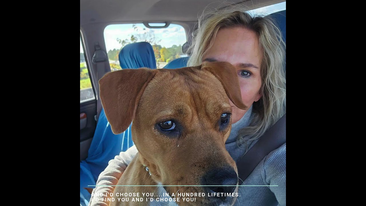Available for Adoption- Meet Coco